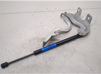  Петля капота Nissan Murano 2008-2015 20504878 #1