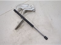  Петля капота Nissan Murano 2008-2015 20504878 #2