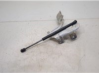  Петля капота Nissan Murano 2008-2015 20504878 #3