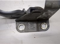  Петля капота Toyota C-HR 20505131 #2