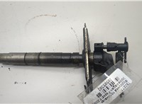  Форсунка топливная Volkswagen Passat 6 2005-2010 20505303 #1