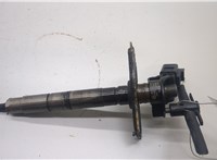  Форсунка топливная Volkswagen Passat 6 2005-2010 20505306 #1