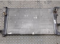  Радиатор охлаждения двигателя Renault Scenic 2009-2012 20505371 #2