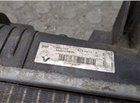  Радиатор охлаждения двигателя Renault Scenic 2009-2012 20505371 #8