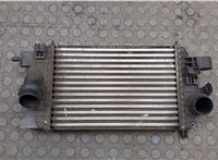  Радиатор интеркулера Opel Meriva 2010- 20505436 #1