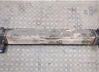  Радиатор интеркулера Renault Scenic 2009-2012 20505529 #1