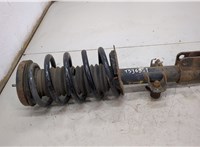  Амортизатор подвески BMW X5 E53 2000-2006 20505736 #1