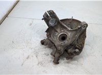  Ступица (кулак, цапфа) Volkswagen Passat 6 2005-2010 20505789 #2