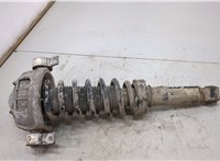  Амортизатор подвески Volkswagen Touareg 2007-2010 20505795 #1