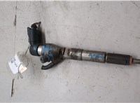 166008052R, 8200704191 Форсунка топливная Dacia Duster 2010-2017 20506021 #1