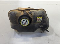  Бачок расширительный Ford Mustang 2005-2009 20506214 #1
