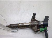  Форсунка топливная Ford Focus 3 2011-2015 20506230 #1