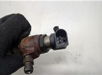  Форсунка топливная Ford Focus 3 2011-2015 20506230 #2