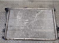 17111436060, 1436060 Радиатор охлаждения двигателя BMW 5 E39 1995-2003 20506294 #1