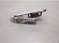 2E0823301 Петля капота Volkswagen Crafter 2006-2016 20506347 #1