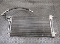  Радиатор кондиционера Skoda Fabia 2007-2014 20506370 #1
