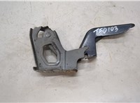 5341042120 Петля капота Toyota RAV 4 2013-2015 20506385 #1