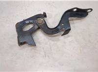 5342042120 Петля капота Toyota RAV 4 2013-2015 20506388 #3