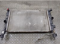  Радиатор охлаждения двигателя Opel Meriva 2003-2010 20506653 #1