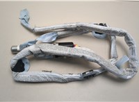 4F5880742C Подушка безопасности боковая (шторка) Audi A6 (C6) 2004-2011 20507108 #1