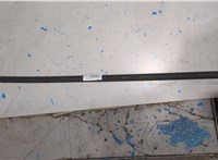 768610005R Молдинг стекла (боковое) Renault Megane 3 2009-2016 20507185 #2