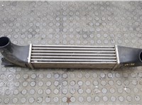  Радиатор интеркулера Opel Omega B 1994-2003 20507245 #1