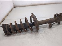  Амортизатор подвески Lexus RX 1998-2003 20507262 #1