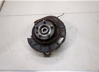 LR001127, LR006962, LR001021 Ступица (кулак, цапфа) Land Rover Freelander 2 2006-2014 20507296 #1