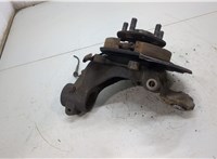 LR001127, LR006962, LR001021 Ступица (кулак, цапфа) Land Rover Freelander 2 2006-2014 20507296 #2