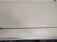  Антенна Dacia Sandero 2013-2020 20507354 #1