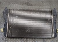  Радиатор интеркулера Volkswagen Tiguan 2011-2016 20507465 #2