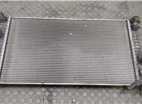  Радиатор охлаждения двигателя Ford C-Max 2002-2010 20507619 #1