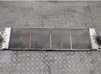  Радиатор интеркулера Volkswagen Transporter 5 2003-2015 20507639 #1