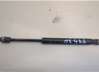  Амортизатор капота Ford Mustang 2005-2009 20507887 #1