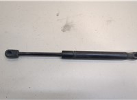  Амортизатор капота Ford Mustang 2005-2009 20507887 #2