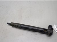 68072174AA Форсунка топливная Jeep Patriot 2010-2016 20507977 #1