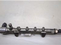 68078051AA Рампа (рейка) топливная Jeep Compass 2011-2016 20508405 #4