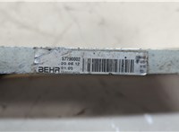  Радиатор масляный Volkswagen Touareg 2010-2014 20508464 #7