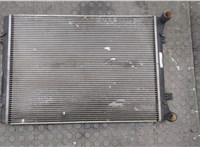  Радиатор охлаждения двигателя Skoda Octavia (A5) 2004-2013 20508499 #1