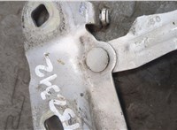 2421362, KK3116800AB Петля капота Ford Transit 2014-2025 20508613 #4