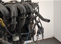  Двигатель (ДВС) Ford Fiesta 2001-2007 20508757 #8