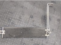  Радиатор масляный Volkswagen Touareg 2007-2010 20508813 #1