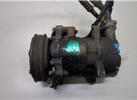  Компрессор кондиционера Peugeot 306 1993-2002 20509197 #1