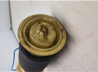 37126790080, 6790080 Пневмоподушка BMW X5 E70 2006-2013 20509206 #5