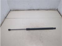  Амортизатор крышки багажника Volkswagen Tiguan 2016-2020 20509292 #1