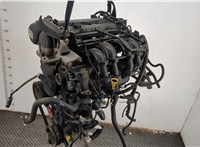  Форсунка топливная Ford Focus 2 2008-2011 11450059 #7
