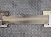  Радиатор масляный Ford Mustang 2005-2009 20510098 #2