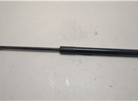 51237329410, 7329410 Амортизатор капота BMW X1 (F48) 2015-2022 20510201 #1