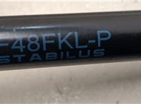 51237329410, 7329410 Амортизатор капота BMW X1 (F48) 2015-2022 20510201 #3