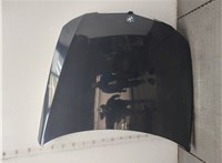  Капот BMW 3 E90, E91, E92, E93 2005-2012 20510340 #1
